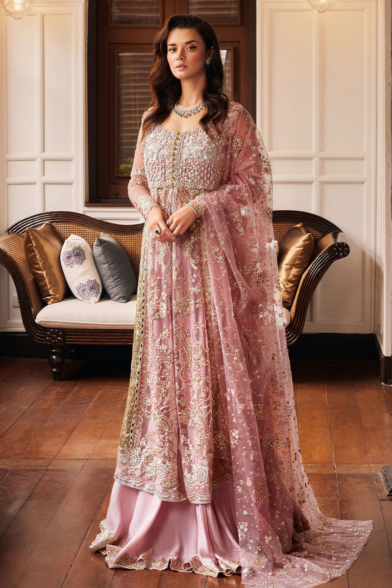 MUSHQ STARDUST WEDDING FESTIVE'23