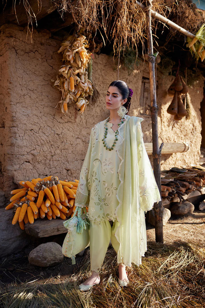 ZAHA LAWN '26 - 14 B