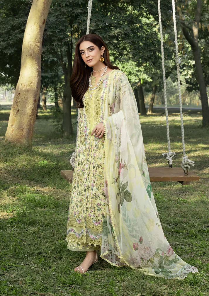 ELAF CHIKANKARI '26 - 06 A