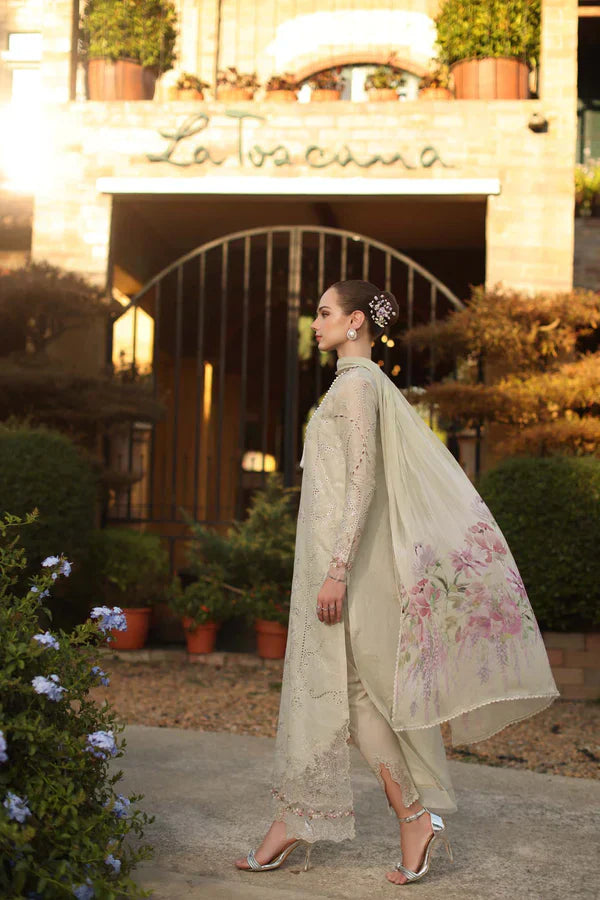 NOOR LASERKARI '26 - 02 B – Rajput Emporium