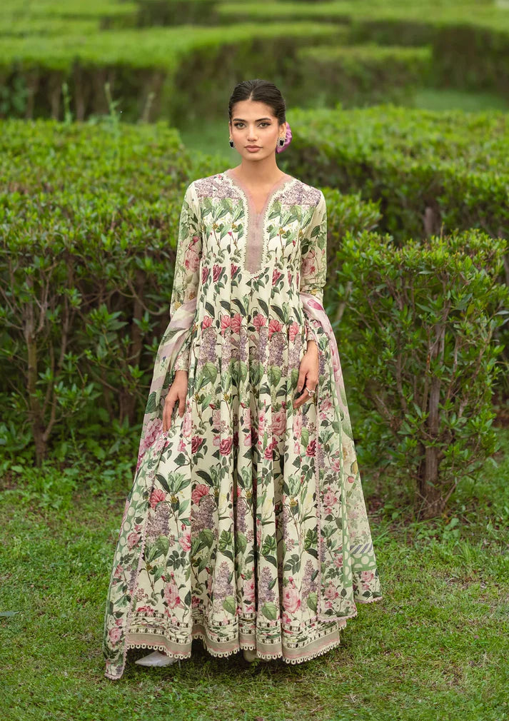 ELAF BRIDGERTON '26 - 03 B