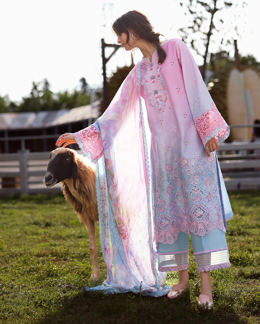 MUSHQ SOLACE '26 - FAINT BLOSSOM