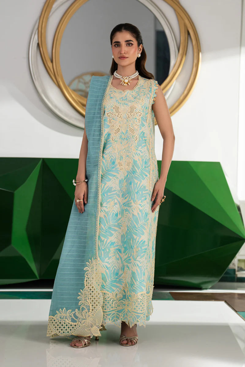 RANG RASIYA CARNATION '26 - ISLA