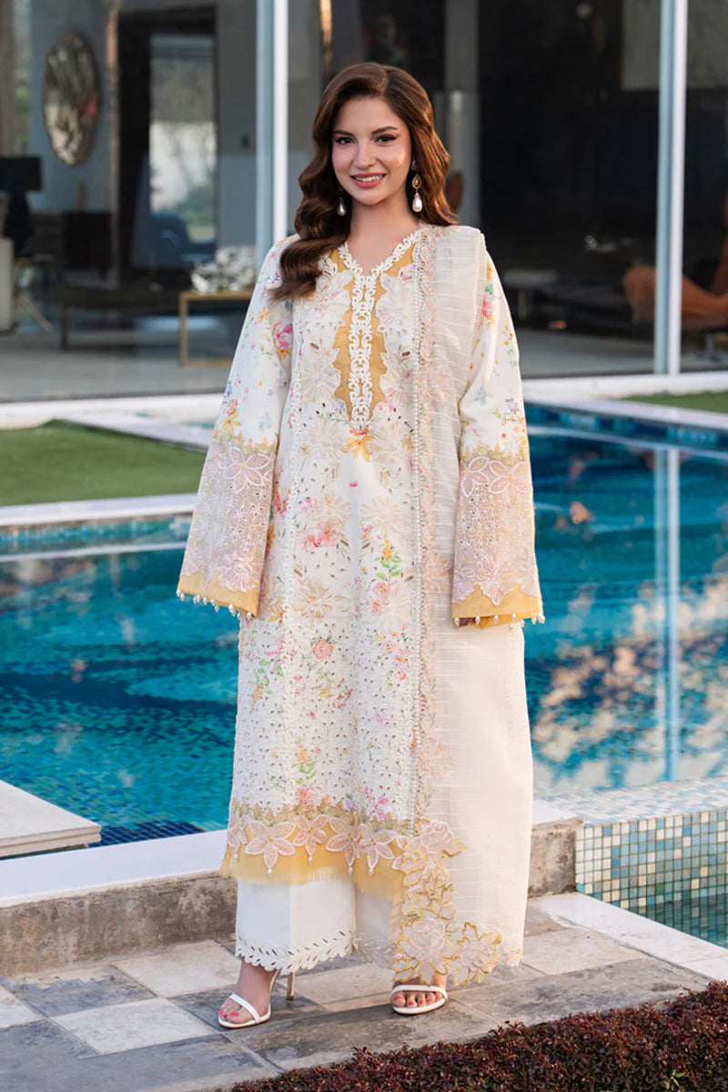 RANG RASIYA CARNATION '26 - LILY